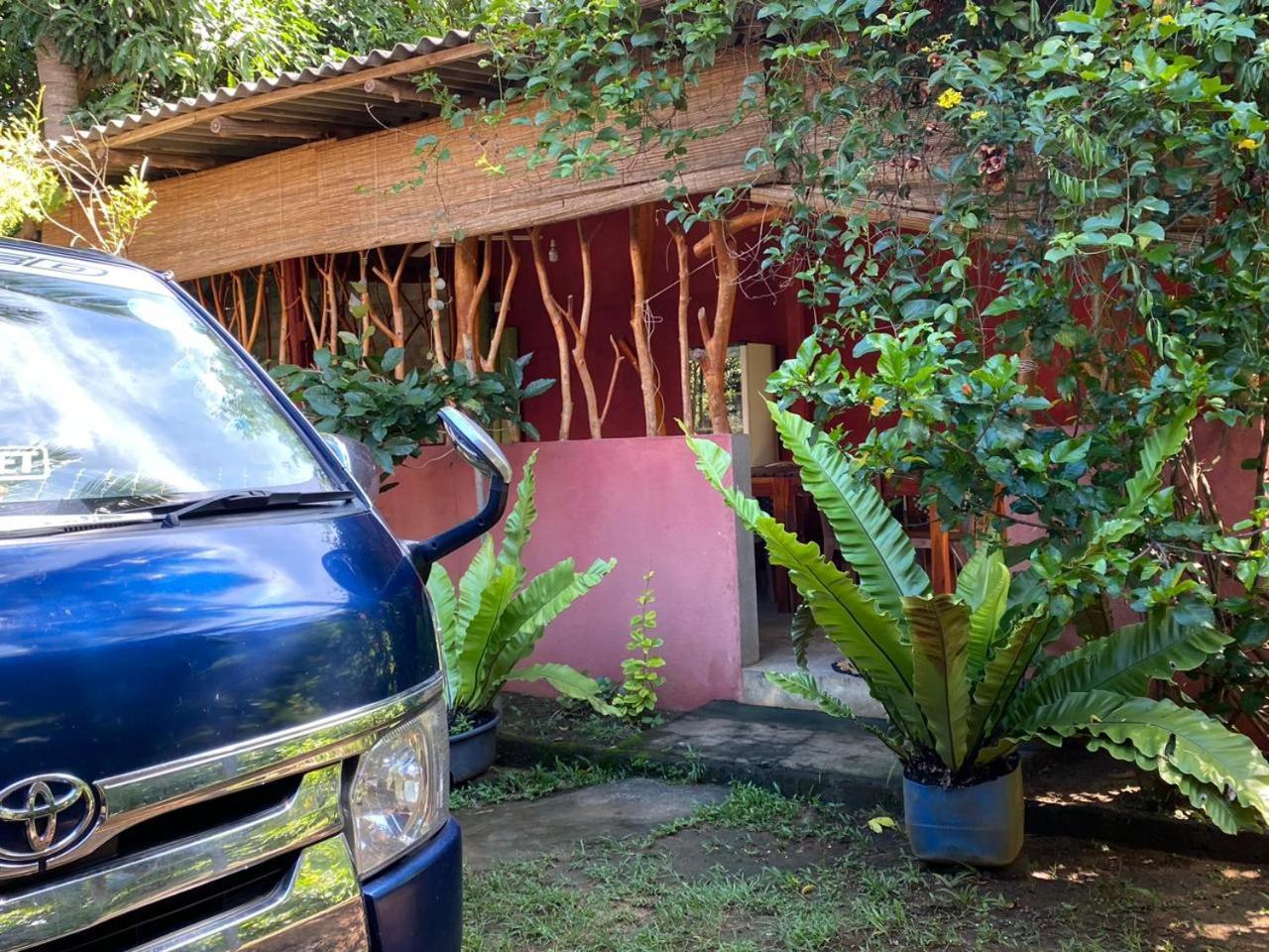 Wild Bee Safari Lodge Uda Walawe Extérieur photo